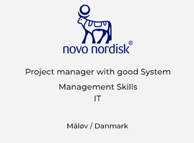 Project Manager with good System Management skills