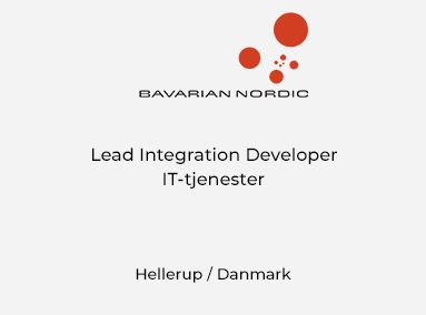 Lead Integration Developer