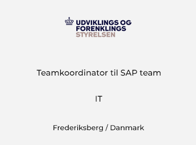 Teamkoordinator til SAP team