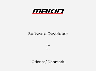 Software Developer