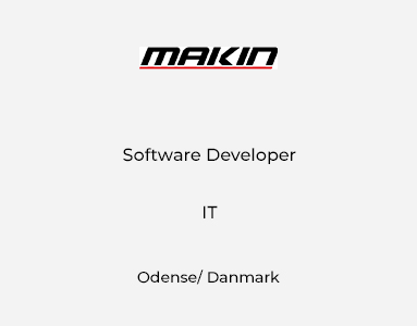 Software Developer