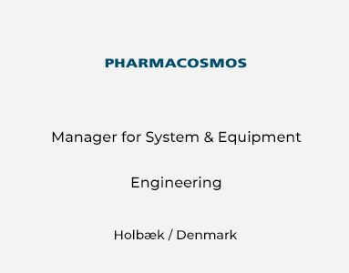 Manager for System & Equipment