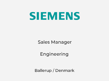 Sales Manager